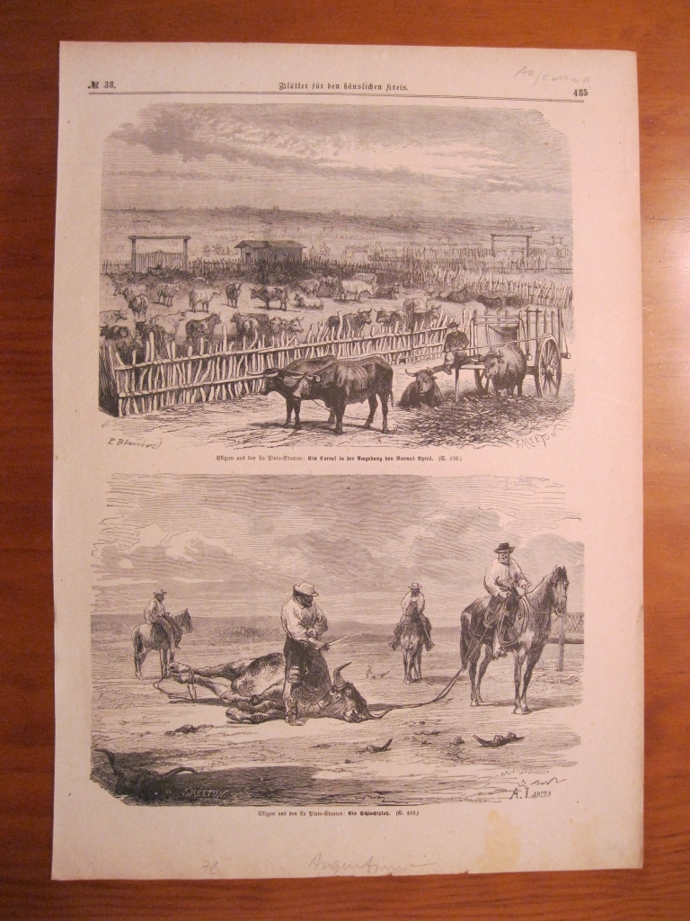 Escenas ganaderas en La Plata (Argentina), 1872